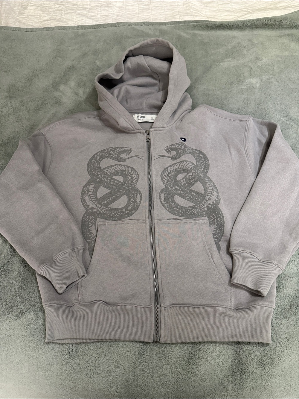 Hollister Light Gray Full-Zip Hoodie with Twin Snake Print